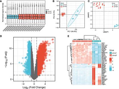 The bioinformatic approach identifies PARM1 as a new potential prognostic factor in osteosarcoma